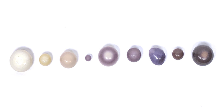 Quahog Pearls